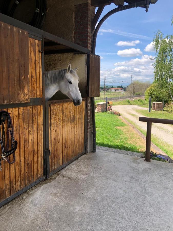 B&B Tenuta Legnate Sesto Calende Exteriér fotografie